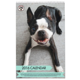Mural RENIFLEZ le calendrier 2016
