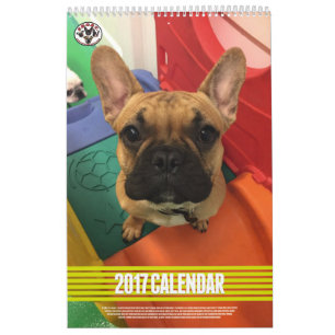 Mural RENIFLEZ le calendrier 2017