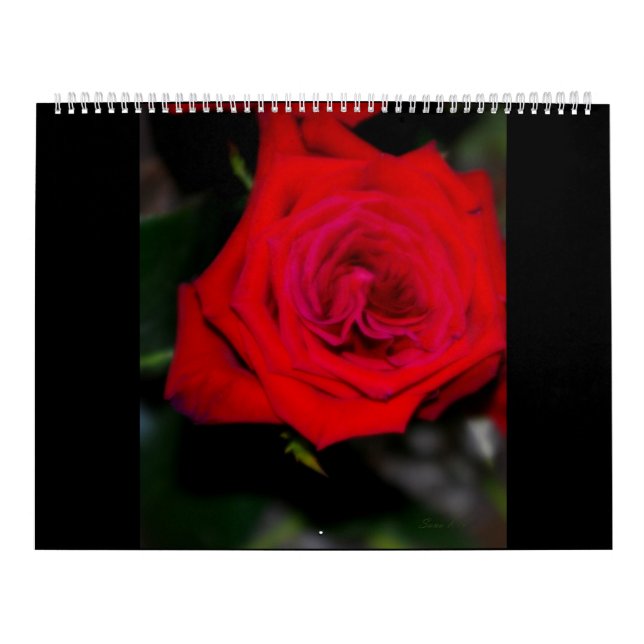 Mural ROSES de calendrier (Protection)
