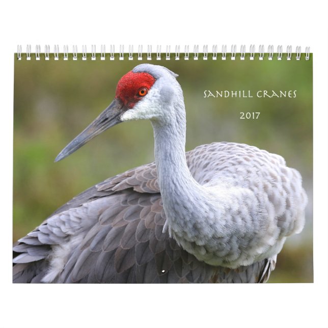 Mural Sandhill tend le cou le calendrier 2017 (Protection)