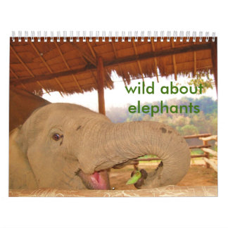 Mural sauvage au sujet du calendrier d'éléphants