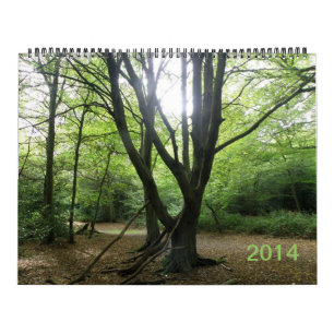 Mural Secret Wild London 2014 Calendrier