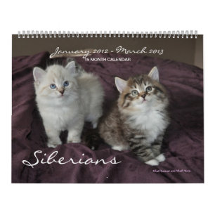 Mural Sibériens Chats Kittens 2012 - Calendrier 2013