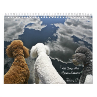 Mural Tous les chiens sont de calendrier de ciel