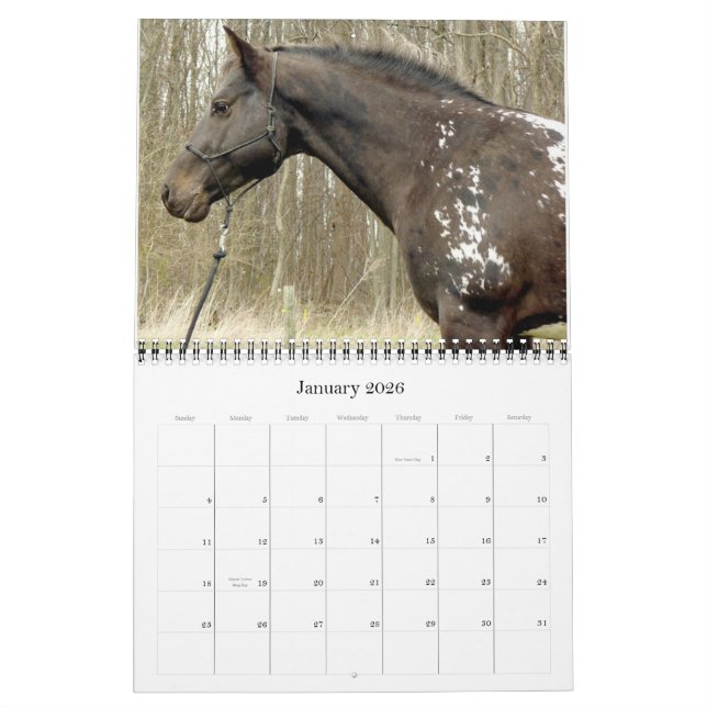 MURAL VOUS AVEZ DES POINTS ? CALENDRIER APPALOOSA 2011 (Jan 2026)