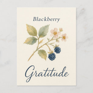 Mûre — Carte postale de gratitude