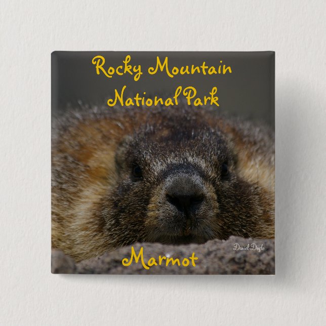 Murmeltier an felsigem Mountian Nationalpark Button (Vorderseite)
