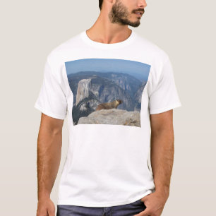 Murmeltier, das halbe Haube von der T-Shirt