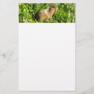 Murmeltier in Mount Rainier Wildblumen Briefpapier