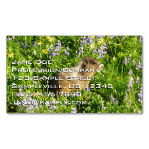 Murmeltier in Mount Rainier Wildblumen Magnetische Visitenkarte