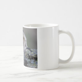 Murmeltier Kaffeetasse