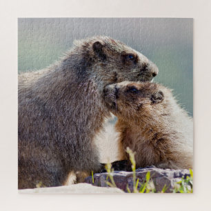 Murmeltiermutter mit Baby