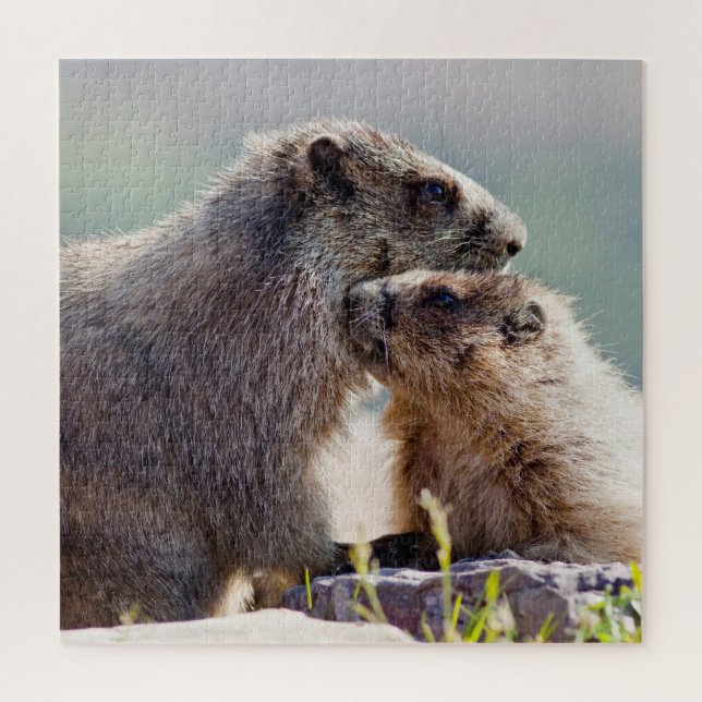 Murmeltiermutter mit Baby (Vertikal)
