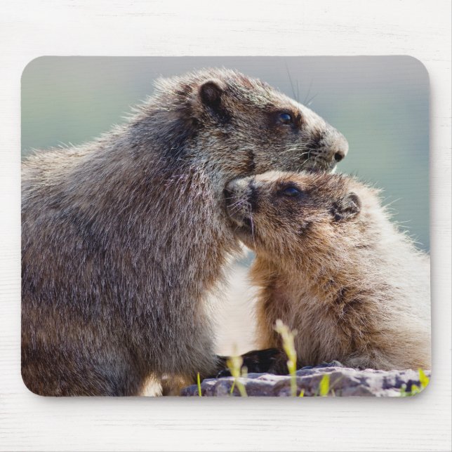 Murmeltiermutter mit Baby Mousepad (Vorne)