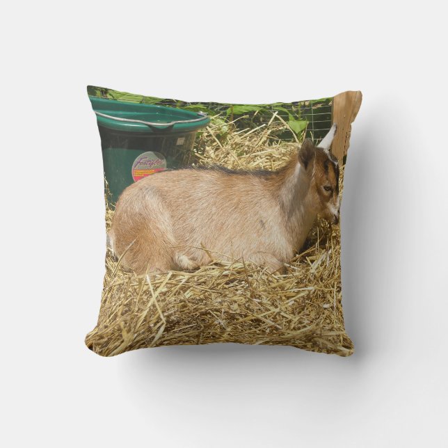 Murphy Kissen (Vorderseite)