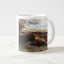 Murphy nimmt eine flüchtige Blick-Tasse