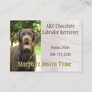 Murphys Business Card Visitenkarte