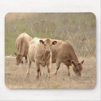 Murray-GrauMausunterlage Mousepad