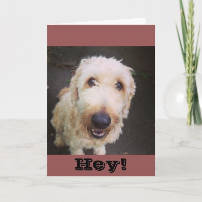 Murray Greeting Card Karte (Vorderseite)