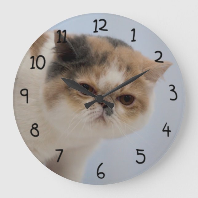 Mürrische Gesichts-Katze Große Wanduhr (Vorderseite)