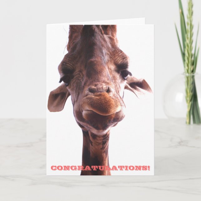 Mürrische Giraffe: Glückwunsch-Karte Karte (Vorderseite)