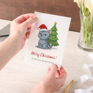 Mürrische Graue Tabby-Katze Rote Mütze Weihnachten
