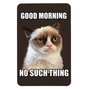 Mürrische Katzen-flexibler Magnet