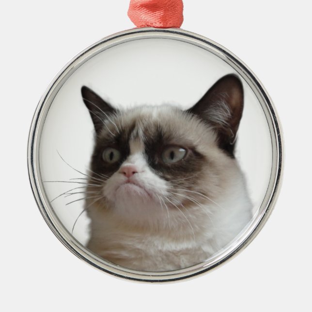 Mürrische Katzen-"mürrischer Glanz-" Silbernes Ornament (Vorne)