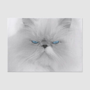 Mürrische persische Katze Seidenpapier