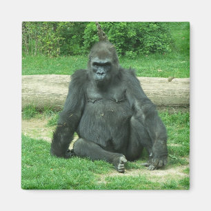 Mürrischer Tiefland-Gorilla Magnet