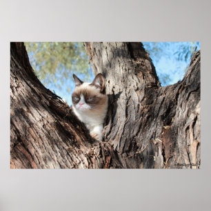 Mürrisches Cat™ in einem Baum-Plakat Poster