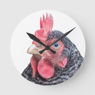 Mürrisches Huhn-lustiges die Stirn runzelndes Runde Wanduhr
