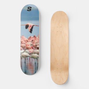 Murygi Sports & Extérieur 8 Pont Skateboard 1/4"