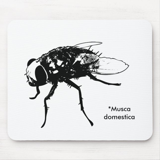 Musca domestica mousepad (Vorne)