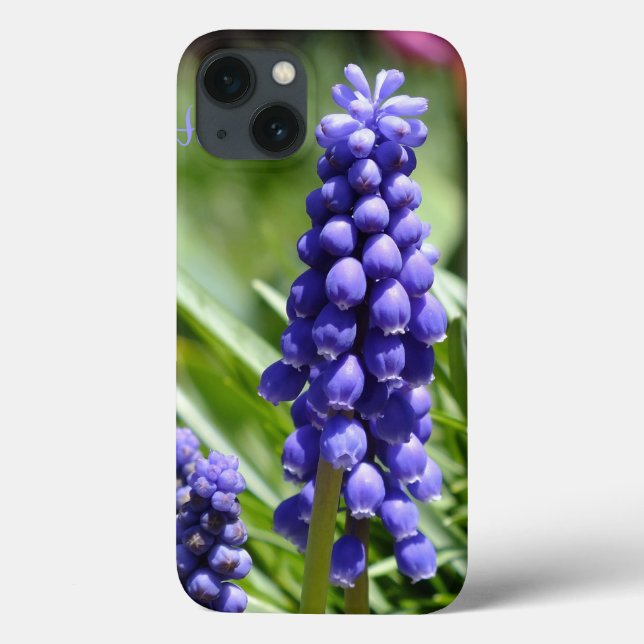 Muscari (Grape Hyacinth) iPad Case (Rückseite)
