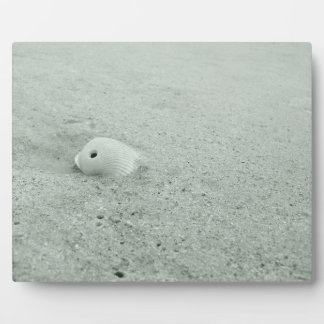 Muschel am Sandstrand Fotoplatte