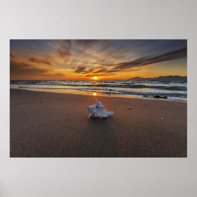 Muschel am Strand bei Sonnenuntergang | Insel Kos Poster (Vorne)