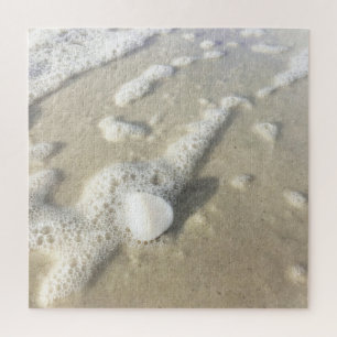 Muschel am Strand Neapel, Florida