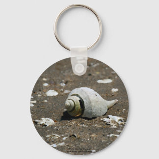 Muschel am Strand - Schlüsselkette Schlüsselanhänger