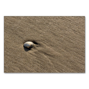 Muschel am Strand Tischnummer