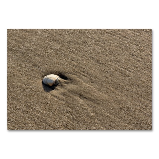 Muschel am Strand Tischnummer (Rückseite)