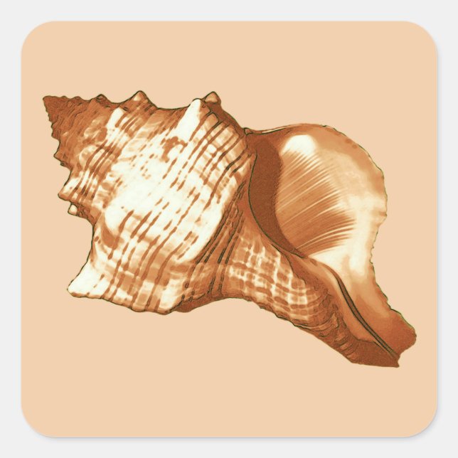 Muschel - braun, weiß und braun quadratischer aufkleber (Vorderseite)