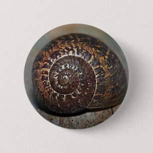 Muschel Button