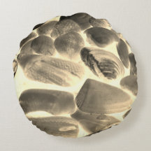 Muschel der Austern im Meer, Farbwechsel in Beige 