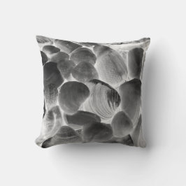 Muschel der Austern in Grautönen Kissen