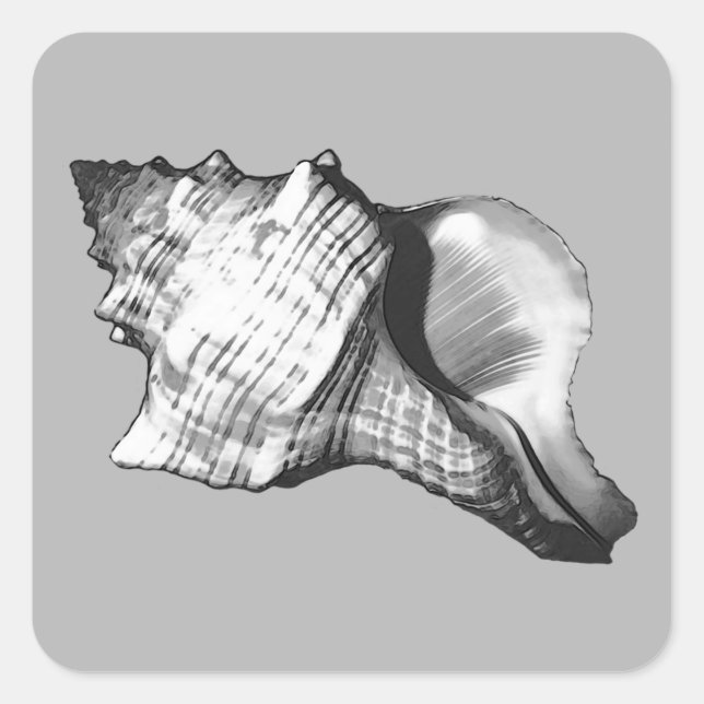 Muschel des Conchs - Grautöne Quadratischer Aufkleber (Vorderseite)