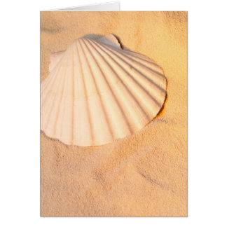 Muschel, die in Sand legt