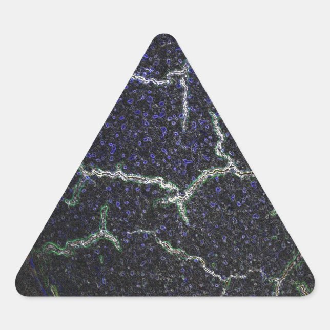 Muschel Dreieckiger Aufkleber (Vorderseite)