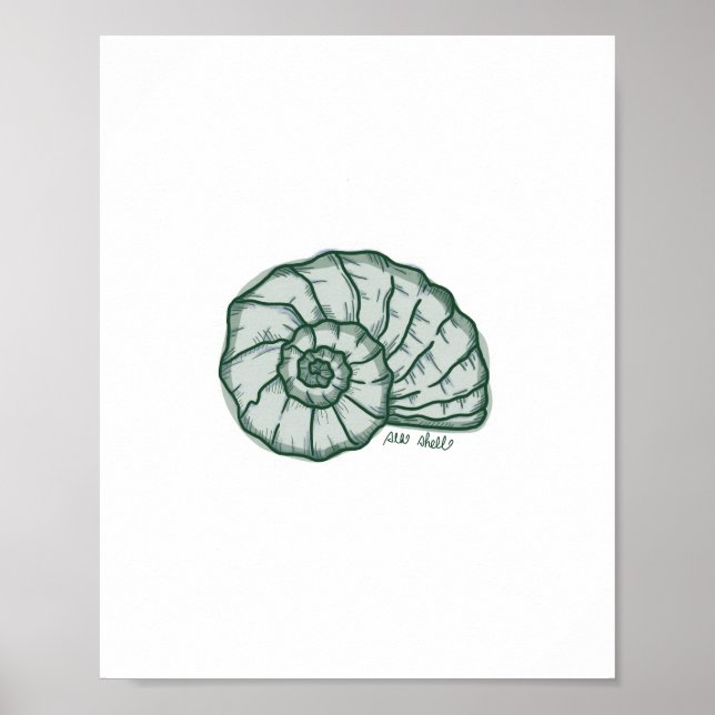 Muschel Druck Poster (Vorne)