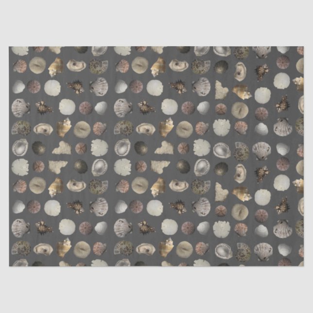 Muschel Extravaganza  Seidenpapier (Vorderseite)